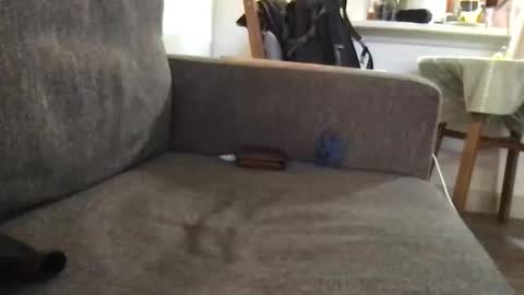 Snapshot of dulcemelo chatting on March 17, 5:05 pm dulcemelo online show from March 17, 5:05 pm