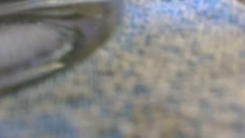 dunany101 online show from November 2, 11:51 pm