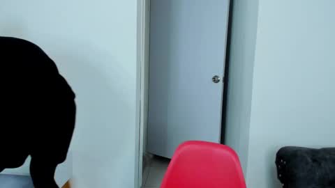 Snapshot of dylantaylor_1 chatting on October 5, 4:00 am Dylan Taylor online show from October 5, 4:00 am