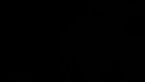 ---DYLAN--- online show from March 11, 11:48 pm