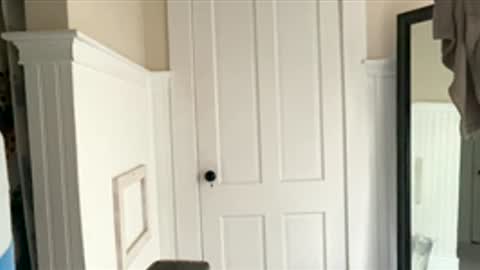 Dynasty online show from December 17, 6:25 pm