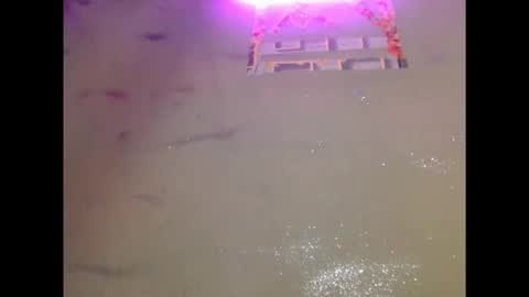 Snapshot of eatuupx chatting on December 19, 3:41 pm eatuupx online show from December 19, 3:41 pm