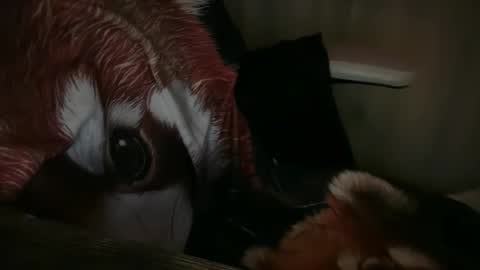 americnbarbie online show from November 13, 1:04 am