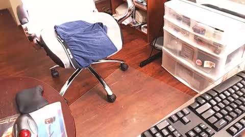 edginginedmonton online show from April 16, 6:41 pm