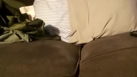 Snapshot of edmore1215 chatting on December 11, 3:37 pm edmore1215 online show from December 11, 3:37 pm