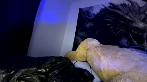 edvmendez1766 online show from September 23, 10:07 am