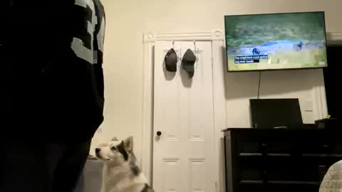 edvmendez1766 online show from October 27, 5:33 am