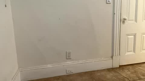 edvmendez1766 online show from November 18, 3:23 am