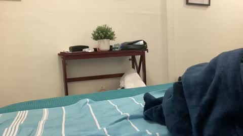 eel184 online show from March 10, 5:01 am