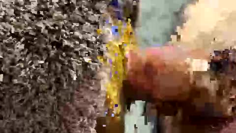 ehdgher online show from September 19, 11:11 am