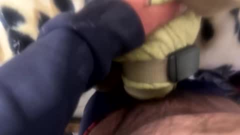 ehdgher online show from April 28, 10:09 am