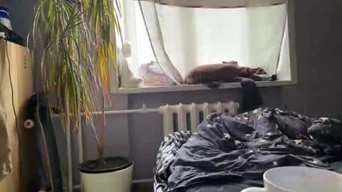 Eitan online show from September 15, 7:52 am