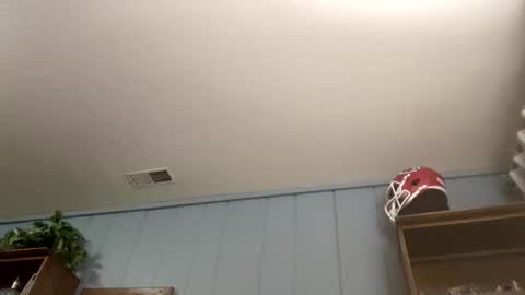 PiedPiper online show from April 5, 11:18 am