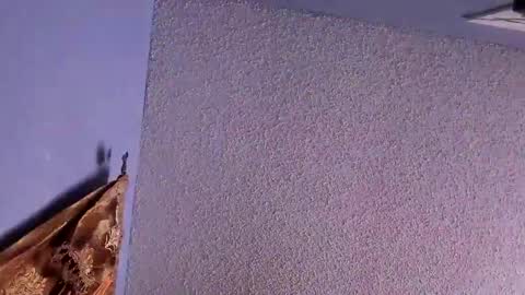 Snapshot of el_santo18 chatting on February 7, 12:53 am Santos online show from February 7, 12:53 am