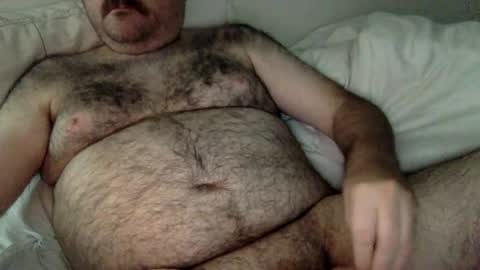 elabear online show from June 22, 5:26 am
