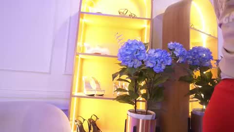 Elasummeer online show from November 4, 12:04 pm