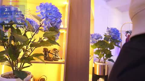 Elasummeer online show from November 24, 11:54 am