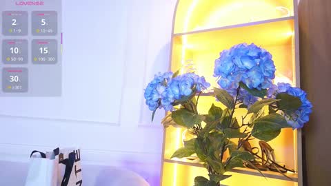 Elasummeer online show from November 28, 11:57 am