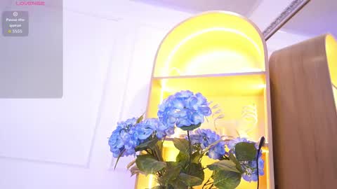 Elasummeer online show from December 18, 11:49 am