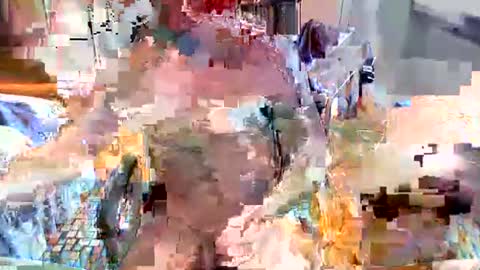 elbasca online show from February 18, 12:12 pm