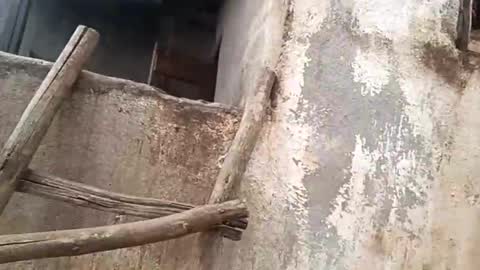 Snapshot of eldie69 chatting on November 29, 10:51 am eldie69 online show from November 29, 10:51 am