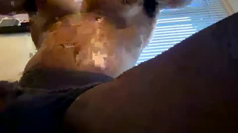 EL-Disiac online show from July 21, 12:46 am