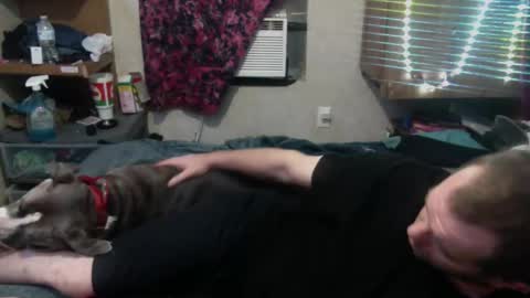 Snapshot of elegantdeviance69 chatting on December 9, 7:17 am ElegantDeviance69 online show from December 9, 7:17 am