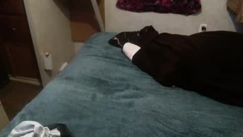 Snapshot of elegantdeviance69 chatting on December 19, 1:18 pm ElegantDeviance69 online show from December 19, 1:18 pm