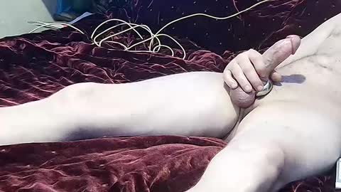 Snapshot of elegantdeviance69 chatting on February 7, 12:31 am ElegantDeviance69 online show from February 7, 12:31 am
