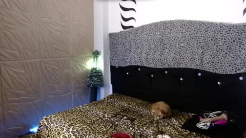 ELEKTRA  hii my birthday is tomorrow but I will celebrate it on Sunday Ill wait for you online show from December 31, 4:16 am