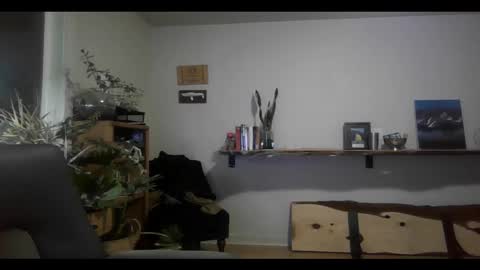 Snapshot of elephantfox chatting on February 11, 3:18 am fox online show from February 11, 3:18 am