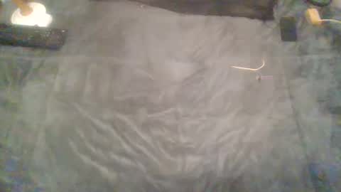 elgsslt online show from February 9, 2:07 pm