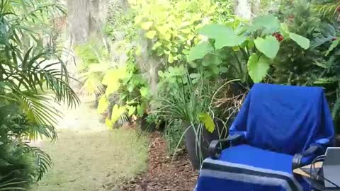 Snapshot of eliberator chatting on January 18, 7:58 pm eliberator online show from January 18, 7:58 pm