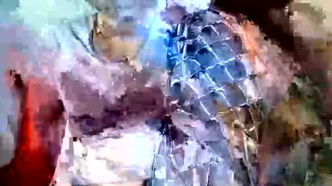 elina_roy03 online show from November 6, 7:31 am