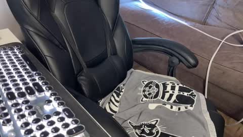 Snapshot of elisa_north chatting on March 9, 9:57 am Elisa North online show from March 9, 9:57 am