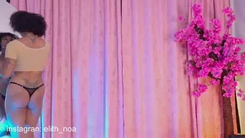 elit noa online show from April 16, 3:29 am