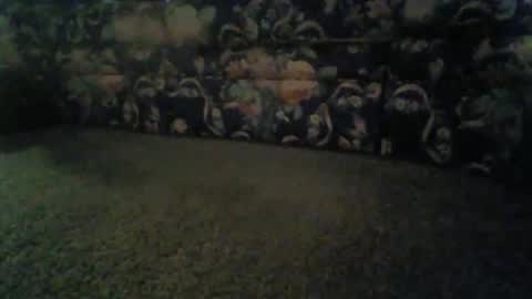 jeff online show from November 13, 8:46 am