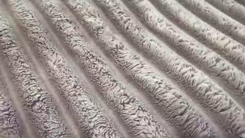 eliterd online show from November 29, 7:39 pm