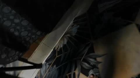 elithcoup_cum online show from December 7, 8:16 pm