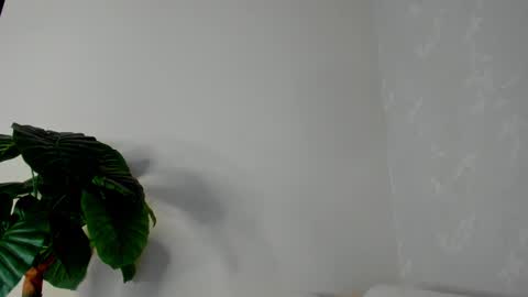 Snapshot of eliza_sanz chatting on February 22, 11:03 pm My name is ElizaPVT is open online show from February 22, 11:03 pm