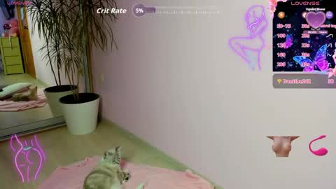 rosi online show from April 22, 2:03 am