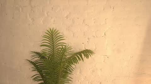 elliefrost online show from March 11, 12:22 am