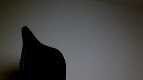 elosocazador online show from April 21, 12:56 am