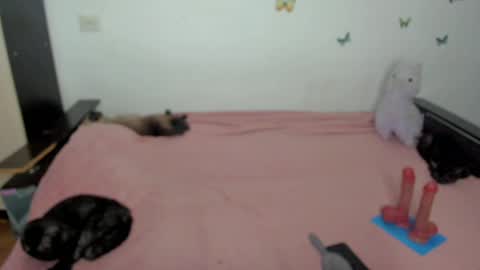 Snapshot of elsamails chatting on May 1, 6:23 pm Elsa online show from May 1, 6:23 pm