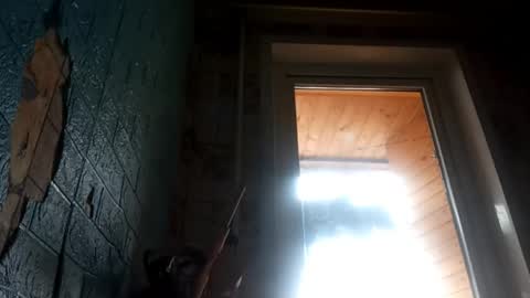 Alisa online show from April 25, 9:45 am