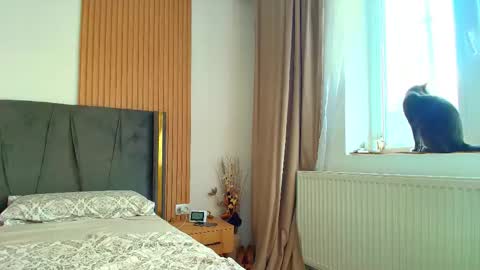 Ely online show from October 1, 7:36 am