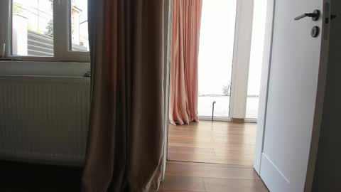 Ely online show from April 22, 5:54 am