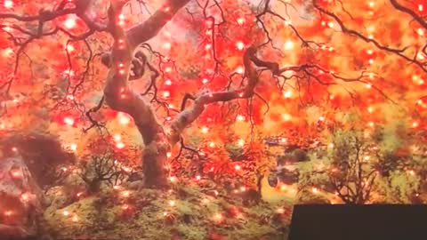 Ember Starleena online show from September 30, 1:49 pm