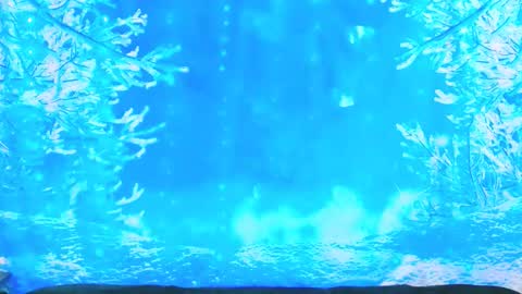 Ember Starleena online show from January 19, 3:49 pm