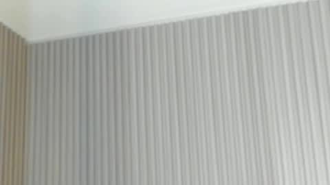 emelie_89 online show from April 21, 11:49 am